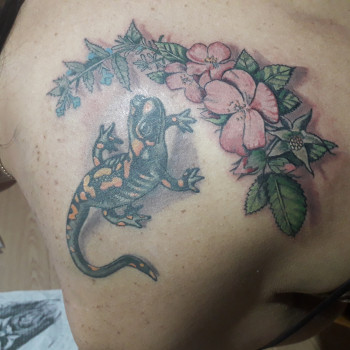 Фото с портфолио Велес