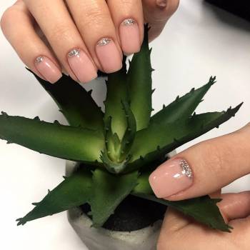 Salonchik, Чернівці Фото - 13