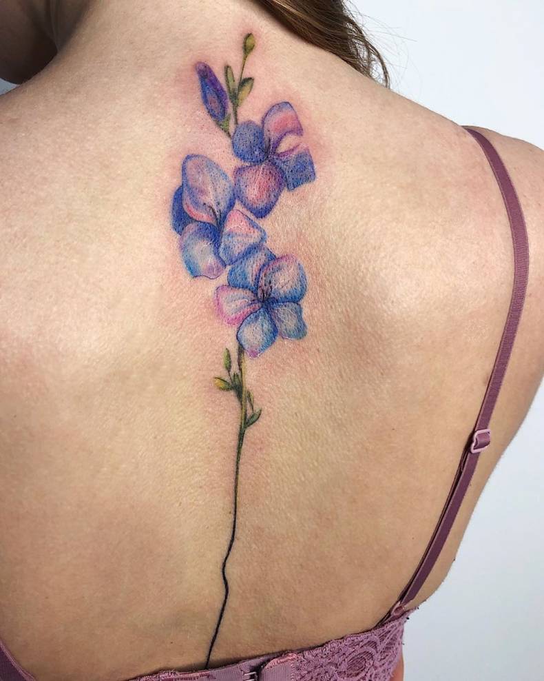Женские цветные на спине, фото -  Grape Tattoo