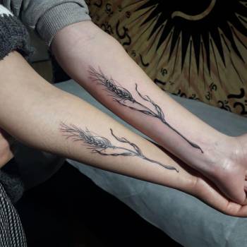 парні, колосок, парні тату