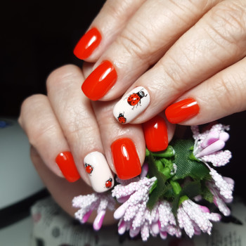 Маникюр
                    Майстер манікюру Лилия Казакова Запоріжжя