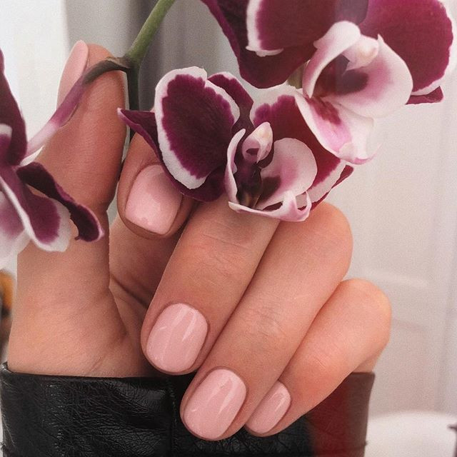Класичний манікюр на короткі нігті ніжний, фото - Студія краси Laque Boutique