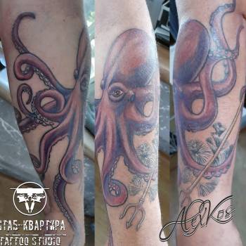 Александр Косенок , Одесса Фото - 23