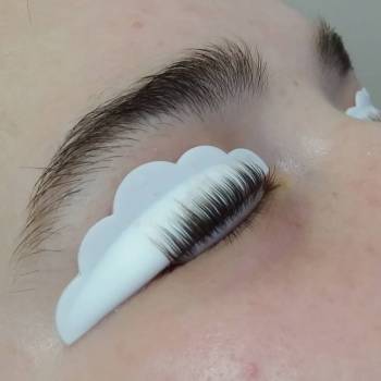 Таша , Кривой Рог Фото - 11