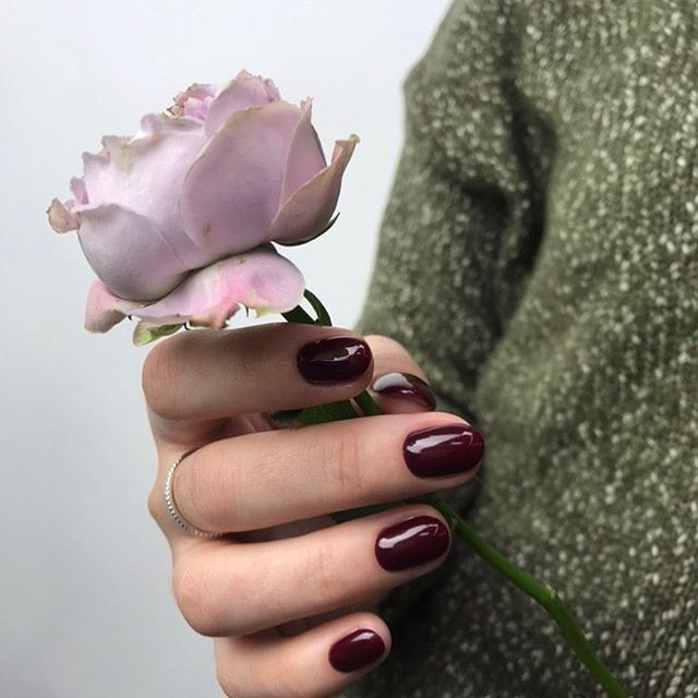 Бордовий манікюр однотонний (монохромний) темний, фото - Нігтьова студія DaVydova nails studio