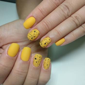 Фото с портфолио Shimmerbar