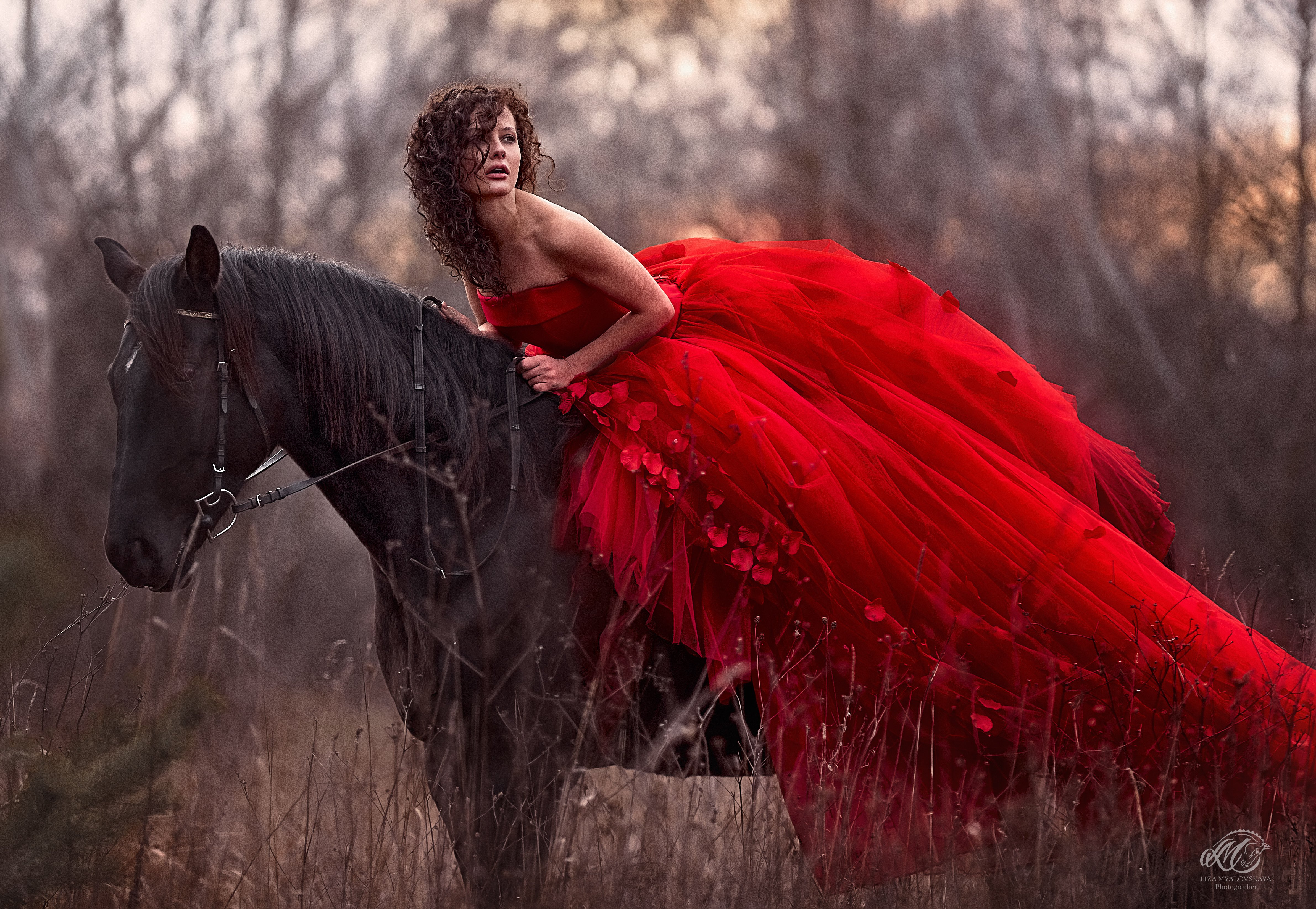 Фотосессия с лошадью, фото - Фотограф Ліза Мяловська