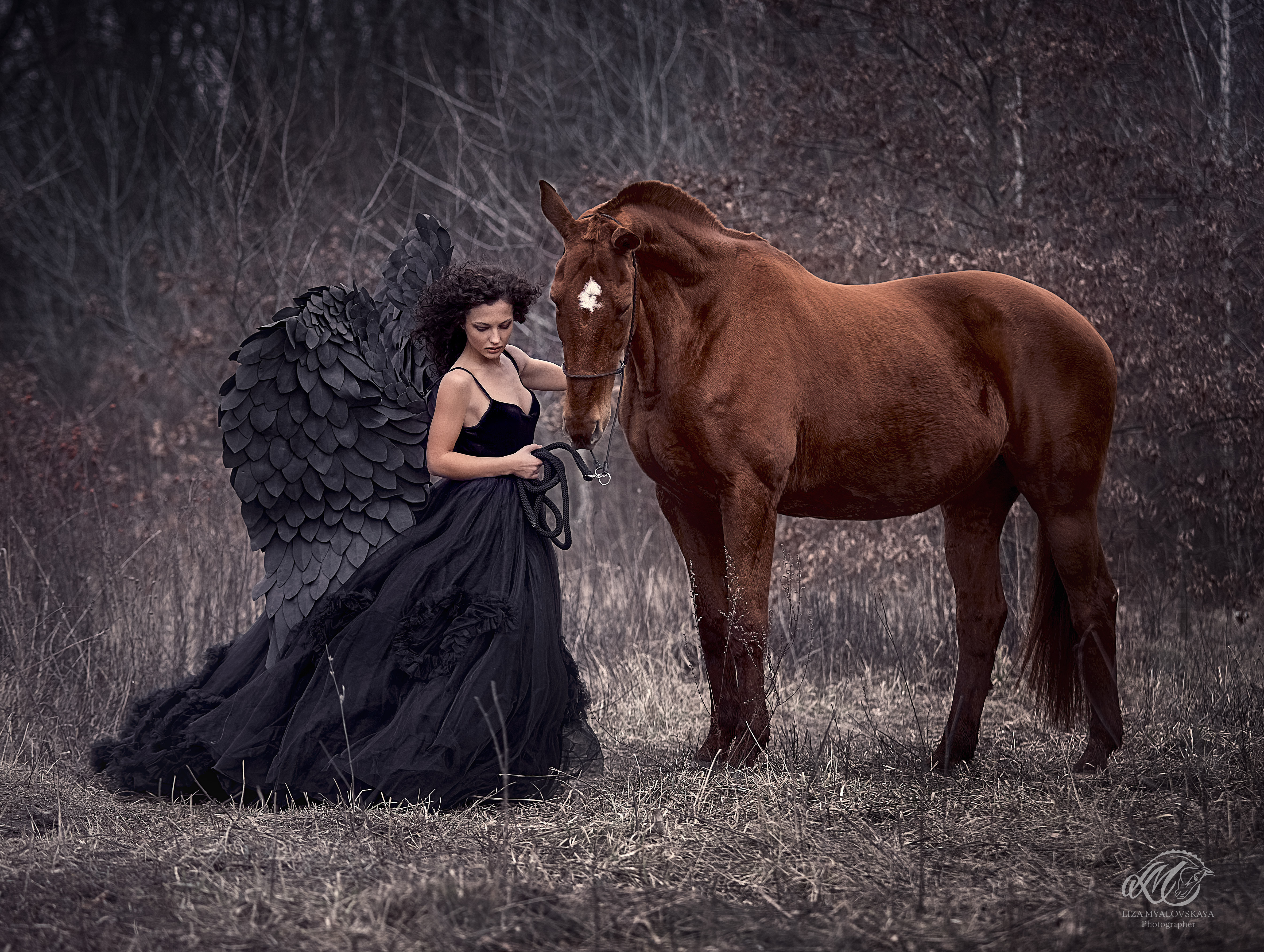Фотосессия с лошадью, фото - Фотограф Ліза Мяловська