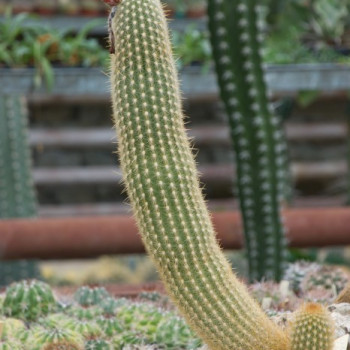 Фото с портфолио Билона