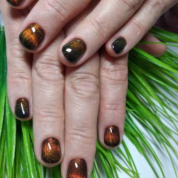 Кошачий глаз хамелеон