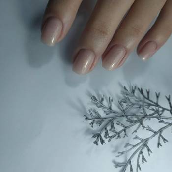 The Ногти, Киев Фото - 1