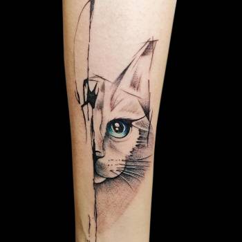 Фото с портфолио 044