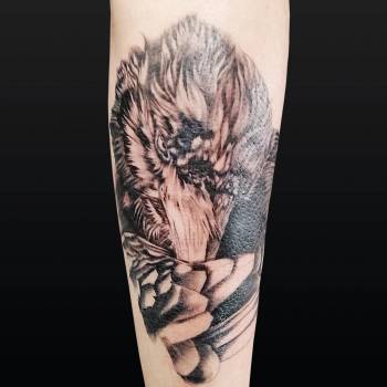 Фото с портфолио 044