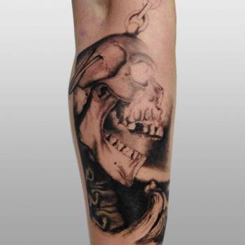 Фото с портфолио 044