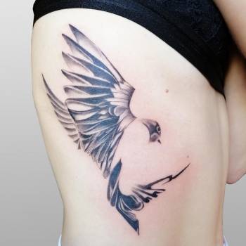 Фото с портфолио 044