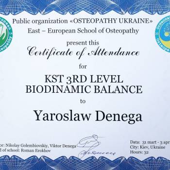 Ярослав Денега , Київ Фото - 6