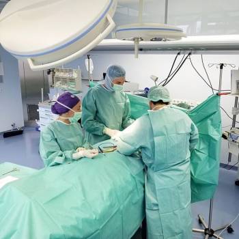 Дмитрий Сичненко , Сумы Фото - 6