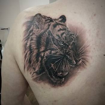 Максим Медведюк, Рівне Фото - 17