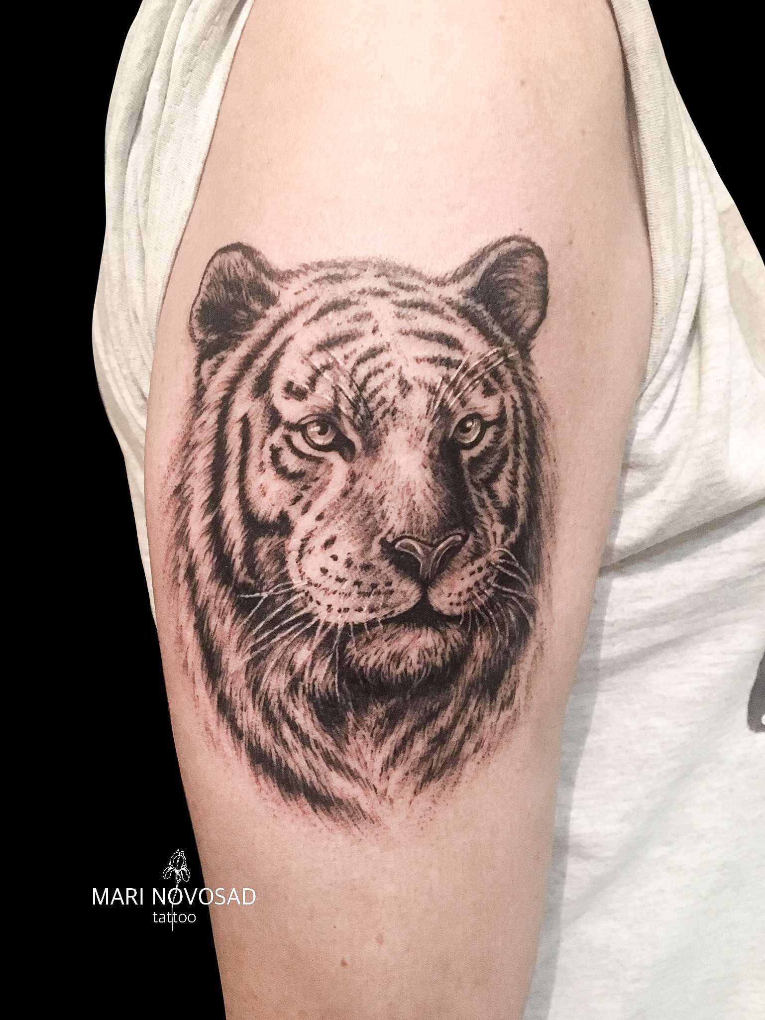 На плечі тигр, фото - Тату майстер Мария Новосад