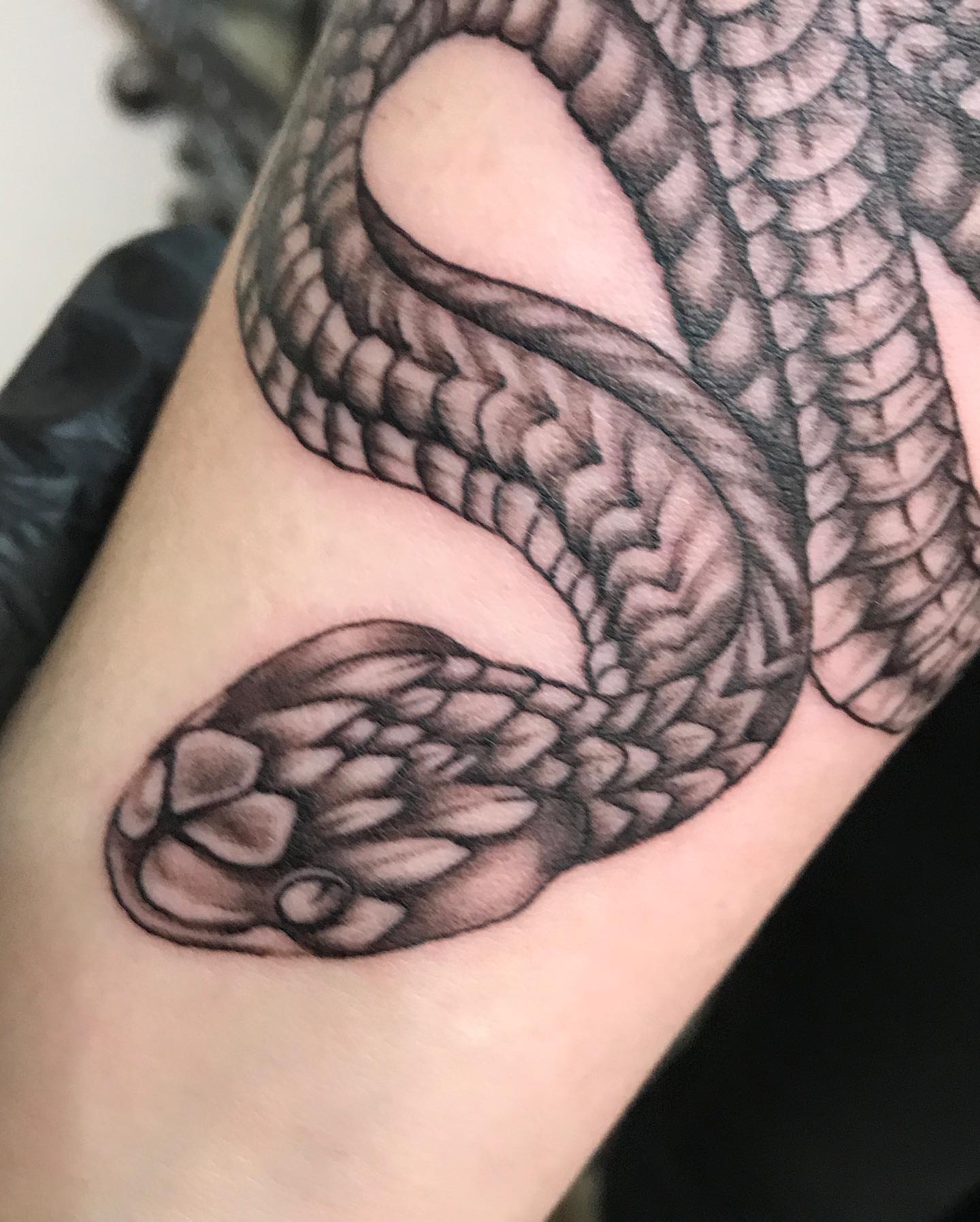 Женские змея на предплечье, фото - Студия татуажа Elf Tattoo