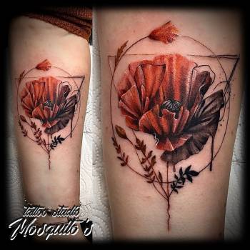 Николай Комарницкий, Ровно Фото - 90