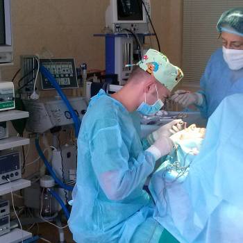 Тарас Било, Тернополь Фото - 11