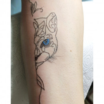 Татуювання
                    Мастер перманентного макияжа Марина Николаев