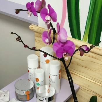 Crocus Aesthetic, Одеса Фото - 5