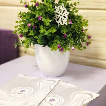 Crocus Aesthetic, Одеса Фото - 19