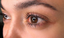 Ламінування вій та брів Салон красоты Fargo Киев