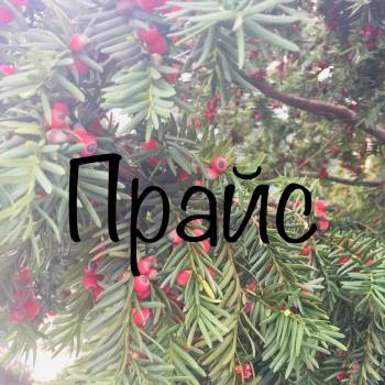 Александра Бондаренко , Харків Фото - 10