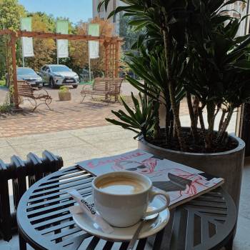 CLIPPERS, Днепр Фото - 11