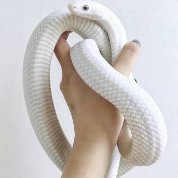 Артур Дєдков, Кривий Ріг Фото - 46