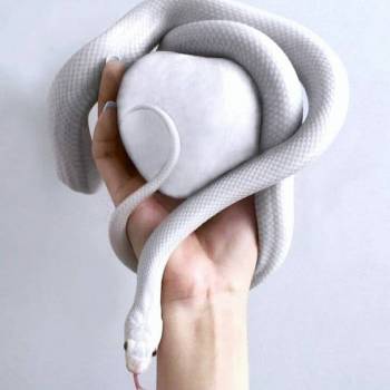 Артур Дєдков, Кривий Ріг Фото - 45