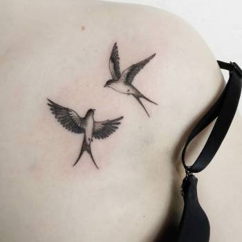 Артур Дєдков, Кривий Ріг Фото - 42