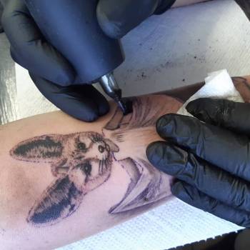 Артур Дєдков, Кривий Ріг Фото - 3