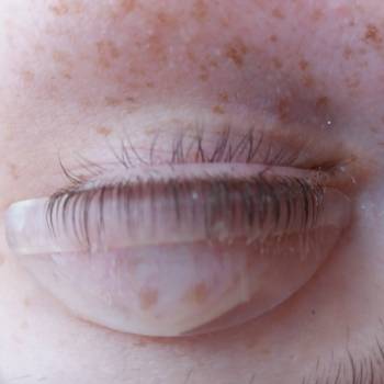 Таша , Кривой Рог Фото - 43