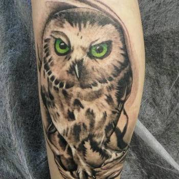 Артур Дєдков, Кривий Ріг Фото - 9