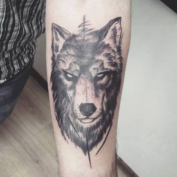 Артур Дєдков, Кривий Ріг Фото - 11