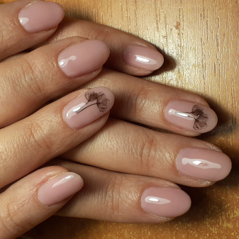 Фото с портфолио Елена Иванова 