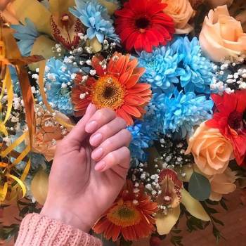 Лак і Мак, Київ Фото - 7