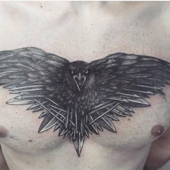 Артур Дєдков, Кривий Ріг Фото - 18