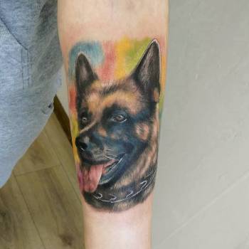 Артур Дєдков, Кривий Ріг Фото - 27