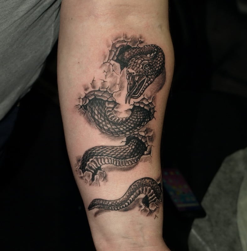 Мужские змея на предплечье, фото - Тату салон Devil Tattoo Studio