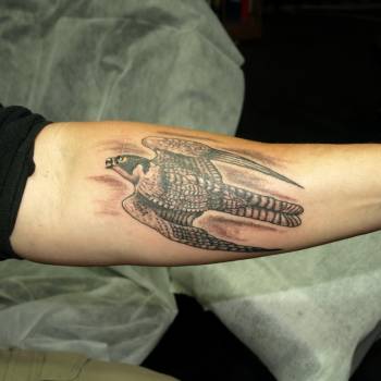 Devil Tattoo Studio, Київ Фото - 55