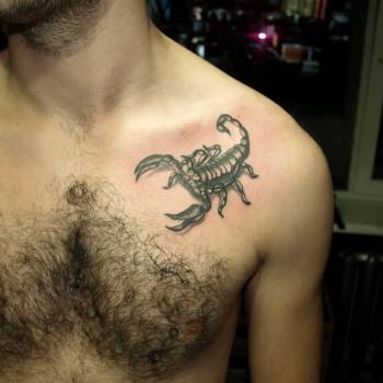 Тату скорпион тату, фото - Тату салон Devil Tattoo Studio