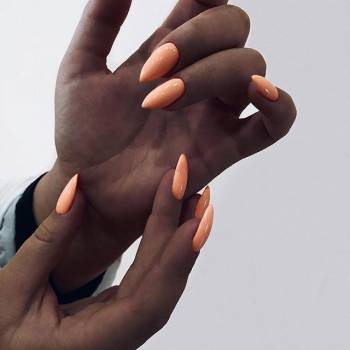 Poly Nail, Київ Фото - 6