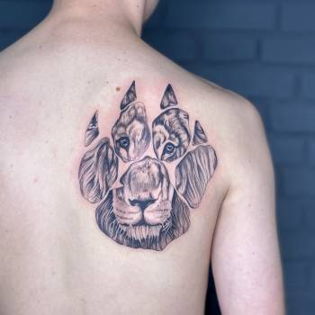 Фото с портфолио Яна Яковина 