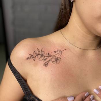 Фото с портфолио Яна Яковина 