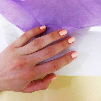 Nice Nails, Київ Фото - 7